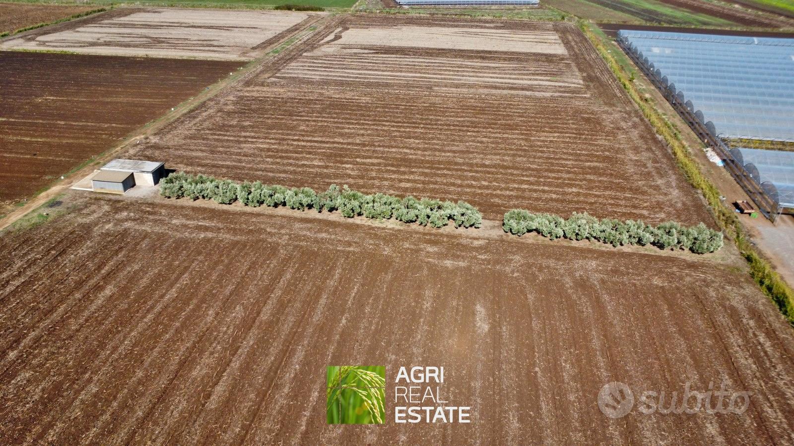 Terreno agricolo 7 HA fronte strada con magazzino - Vista 3