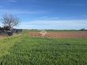 ter-agricolo-a-turate