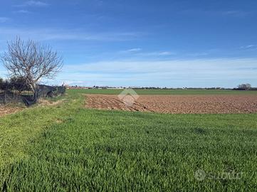 TER. AGRICOLO A TURATE