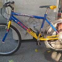 Mountain bike