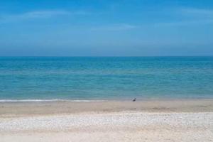 Mare estate Pineto Abruzzo