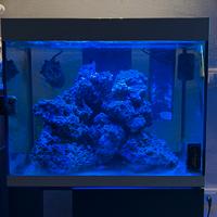 Askoll Opera 110 + accessori e lampada aggiuntiva