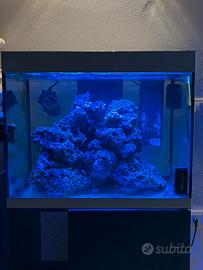 Askoll Opera 110 + accessori e lampada aggiuntiva