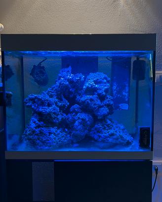 Askoll Opera 110 + accessori e lampada aggiuntiva