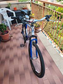 bicicletta frera 26