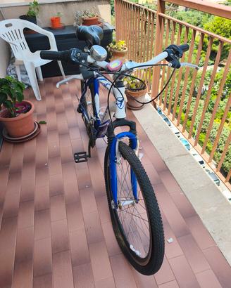 bicicletta frera 26