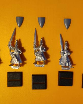 Guerrieri Ombra 5 ed Elfi Alti Warhammer