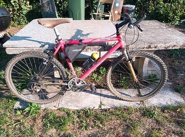 Bicicletta ammortizzata
