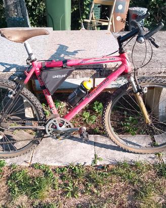 Bicicletta ammortizzata