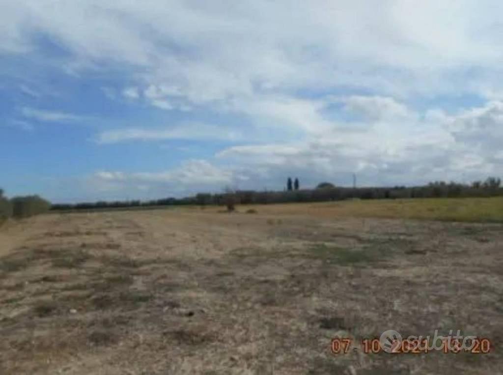 Immobile in asta di 3769 m² a Orta Nova - Vista 4