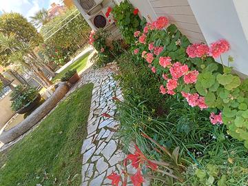 PASQUA-GIUGNO--SETTEMBRE in CENTRO 50mt dal MARE