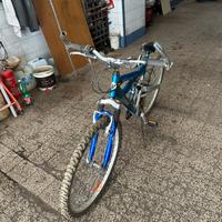 Bicicletta Shimano Leopard