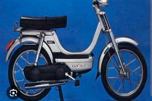 vespino sc