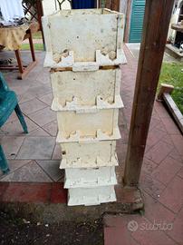 melaio di posterollo 