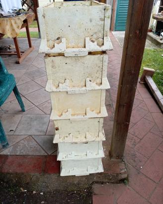 melaio di posterollo 