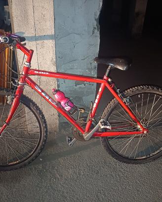 bicicletta montain bike 