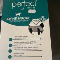 Body post operatorio