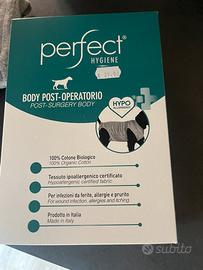 Body post operatorio