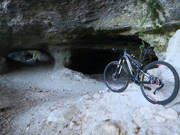 MTB IN CARBONIO 
