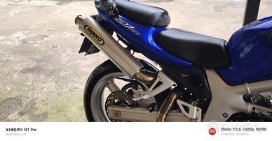 🏍️ Suzuki SV 650 (2001) – 29.000 km