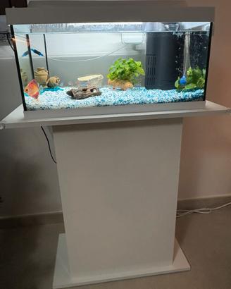 Tetra Acquario Starter Line 54 lt Bianco + mobile