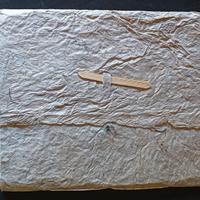 ARTICOLI CARTA ORIGINALI