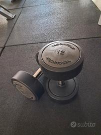 manubri technogym 