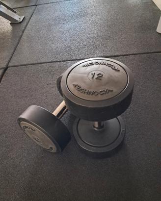 manubri technogym 