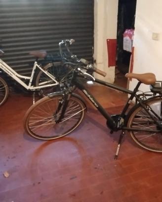 bici elettrica