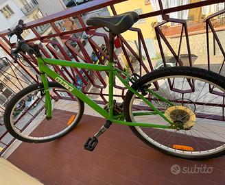 Bici BKT