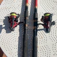 due canne da pesca 
