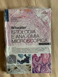 Weather Istologia e Anatomia Microscopica 