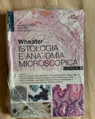Weather Istologia e Anatomia Microscopica 