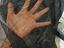 Immagine 4