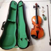 Violino Skylark 53 cm 1/2 con custodia rigida – ot