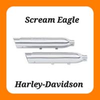 Marmitte Scream Eagle Street Canon Sportster