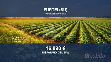 Immobile in asta di 50845 m² a Furtei