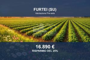 Immobile in asta di 50845 m² a Furtei