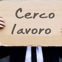 Prima occupazione lavorativa neodiplomato