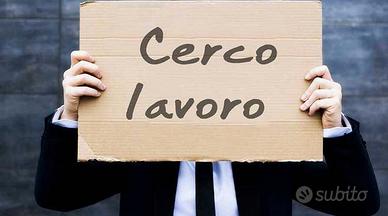 Prima occupazione lavorativa neodiplomato