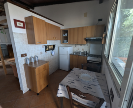 Estate 2025 marina di Camerota