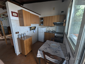 Estate a marina di Camerota