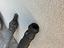 Immagine 2