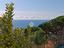 Immagine 11