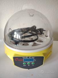 Incubatrice HHD manuale