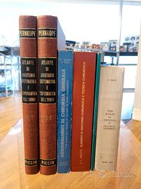 Pernkopf - Atlante Anatomia + libri chirurgia
