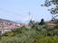Immagine 7