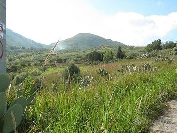 TERRENO in collina