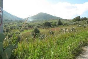 TERRENO in collina