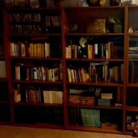 libreria in legno massello